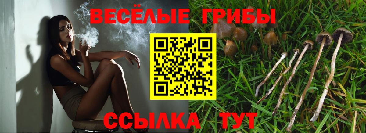 Псилоцибиновые грибы Magic Shrooms  где найти наркотики  Фурманов  Вход с VPN  Галлюциногенные грибы мухоморы 